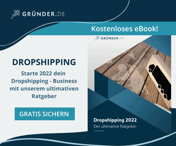 Dropshipping Guide (eBook)