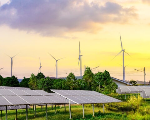 In erneuerbare Energien investieren: Lohnt sich das 2024?