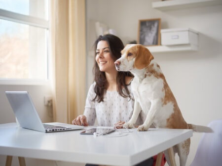 Homeoffice-Umfrage Frau mit Hunde am Laptop