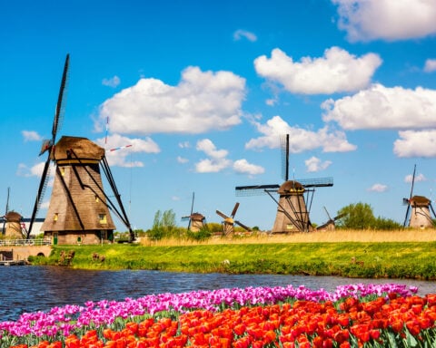 Die 7 erfolgreichsten Startups aus den Niederlanden